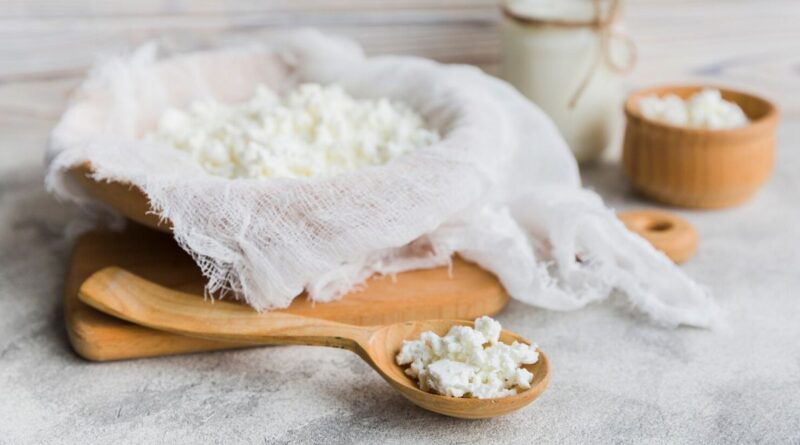 Чи можна собакам сир кисломолочний (зернистий): користь, скільки і як давати?