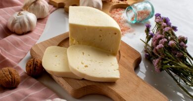 Чи можна собакам твердий сир: шкідливий чи корисний?