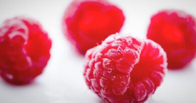 Чи можна собаці малину: свіжу, сушену, заморожену?