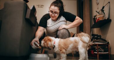 Дієтичний корм для собак: коли це необхідно?