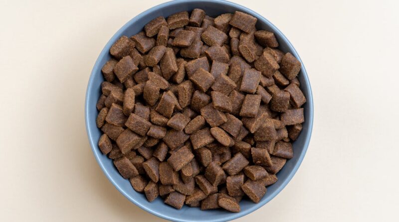 Холістик корм для собак: склад, мінуси і плюси.