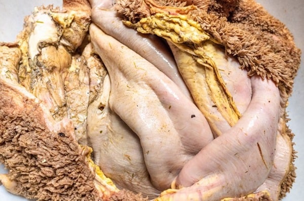 Що таке рубець яловичий для собак?