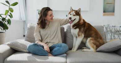 Що не можна давати собакам з їжі? Список (таблиця) дозволених та заборонених продуктів.