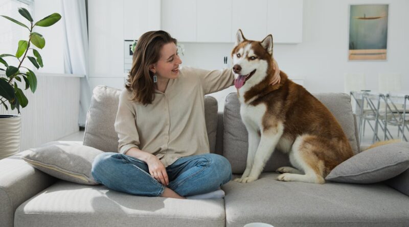 Що не можна давати собакам з їжі? Список (таблиця) дозволених та заборонених продуктів.