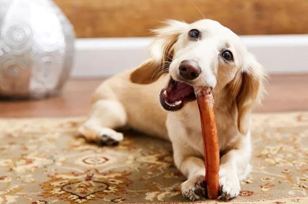 З чого складається бичачий корінь для собак?