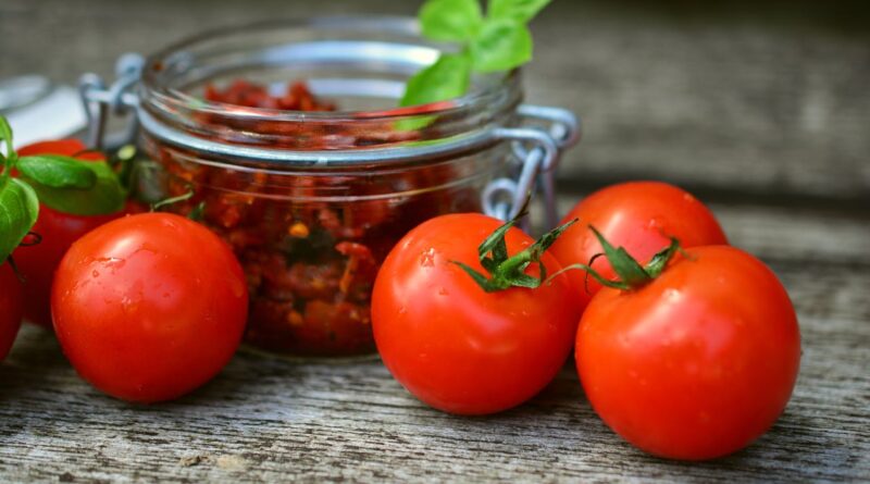 Чи можна давати собакам помідори: наскільки томати безпечні в раціоні вихованця?