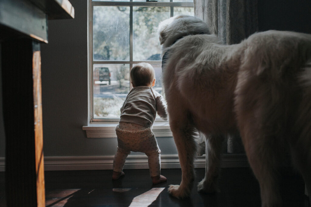 Чому дітям корисно рости разом із домашніми / свійськими тваринами?