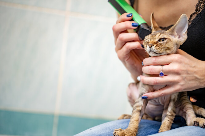 Спекотний клімат