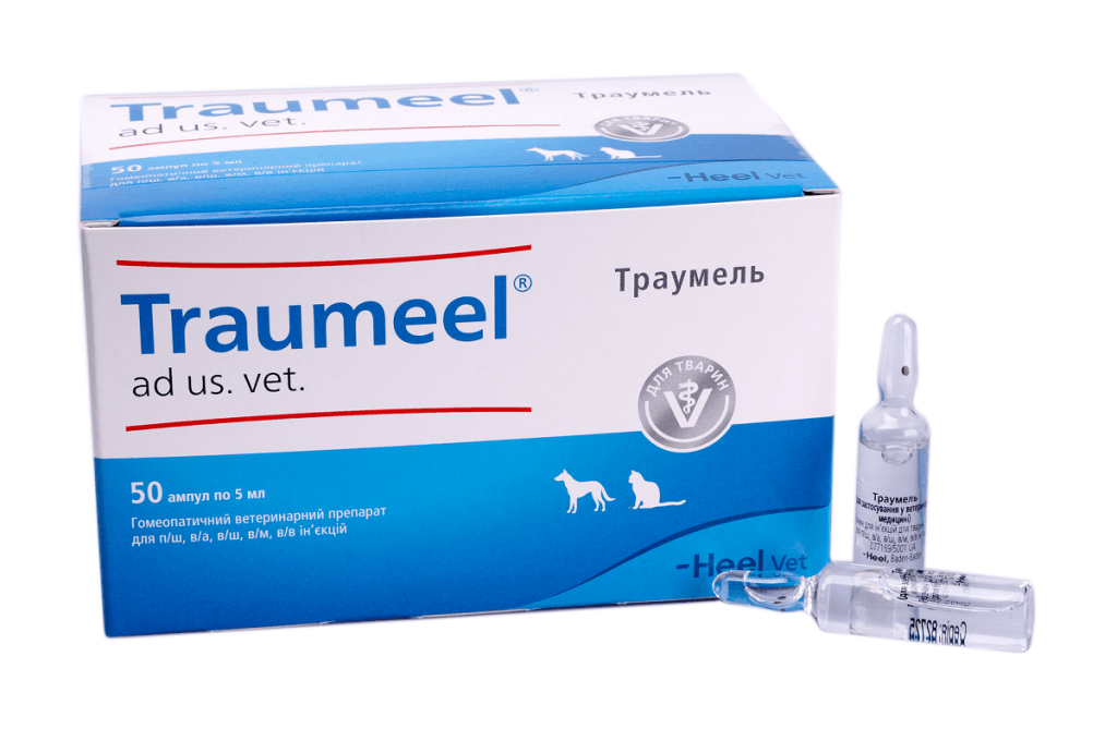 Як давати Траумель кішці?