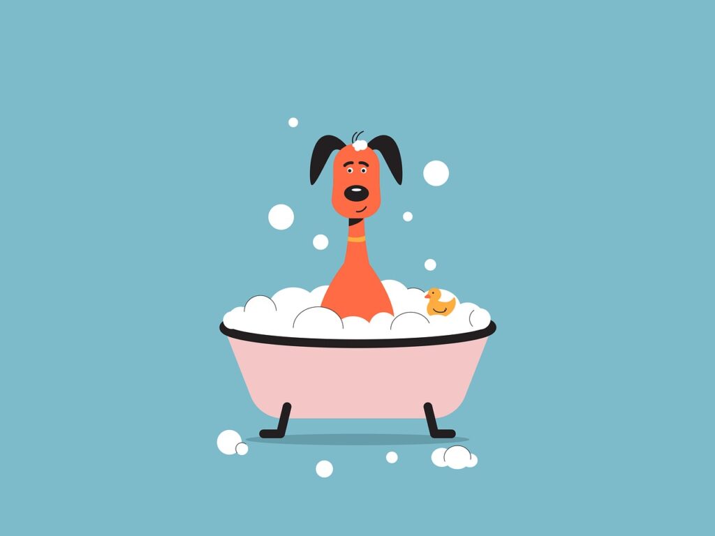 Як дотримуватися оптимального графіка миття собаки?