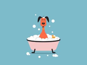 Як дотримуватися оптимального графіка миття собаки?