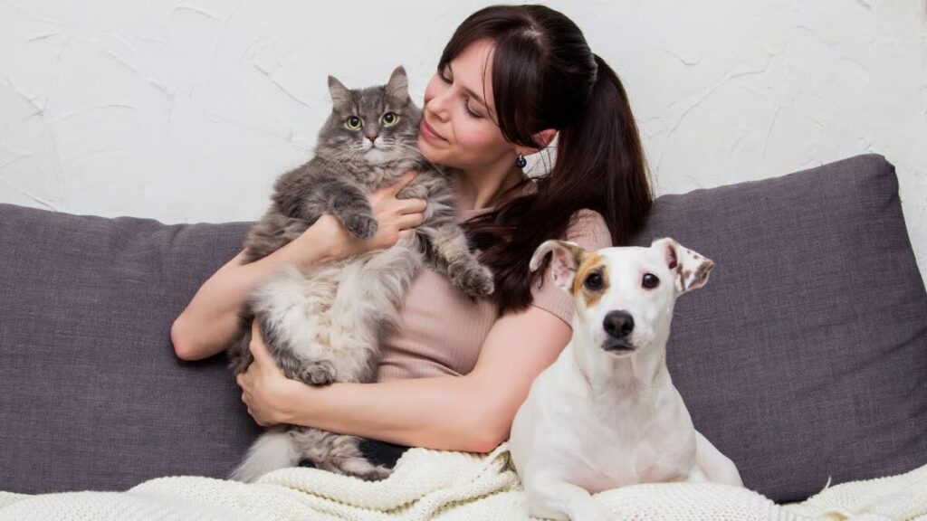 Як допомогти вихованцеві, який втратив господаря?