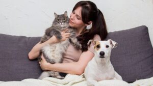 Як допомогти вихованцеві, який втратив господаря?