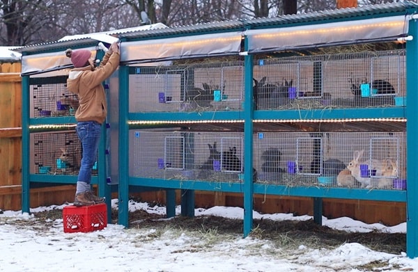 Захист кліток від вітру і снігу