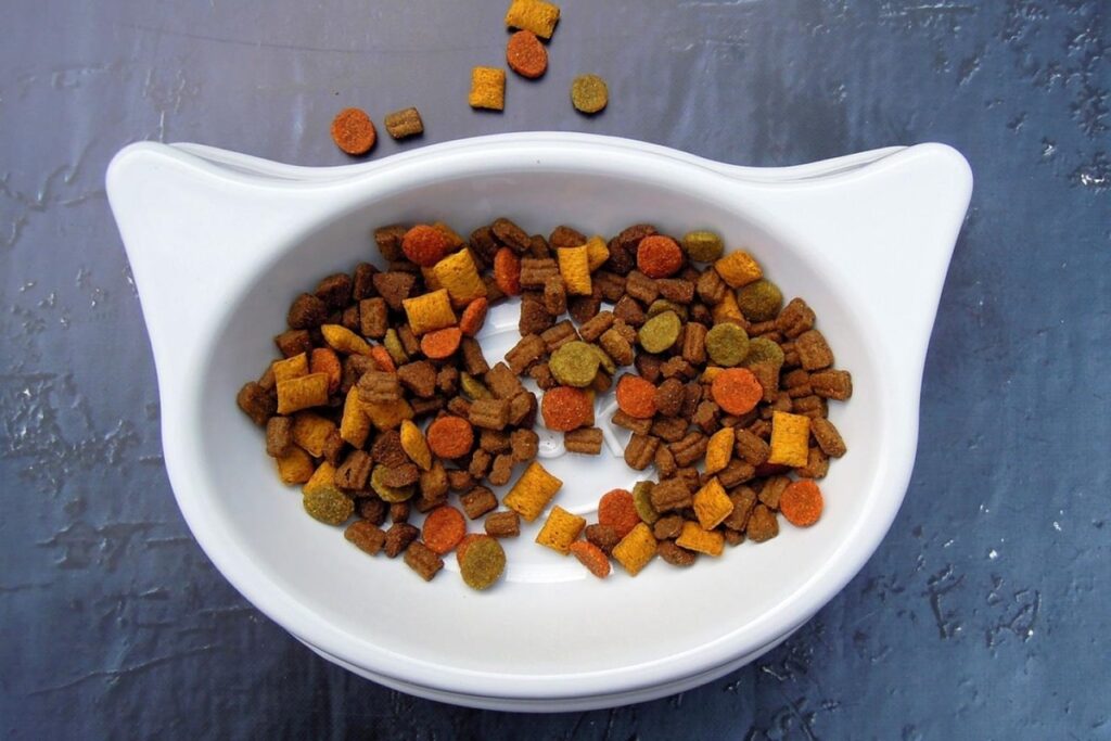 Кішці набрид корм?