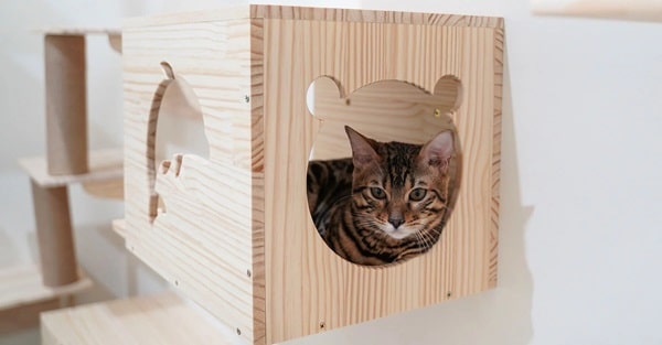 Будиночок для кішки з фанери: покрокова інструкція