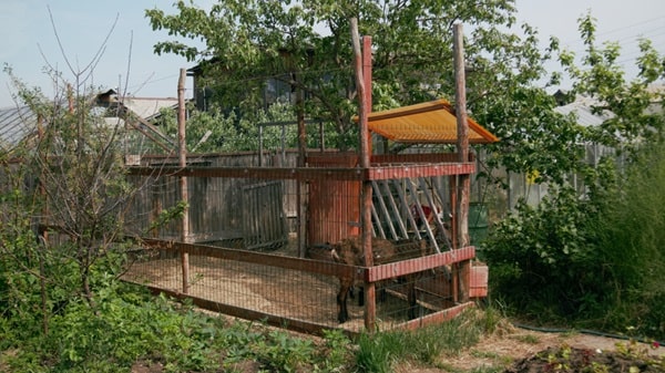 Чим огородити вольєр?