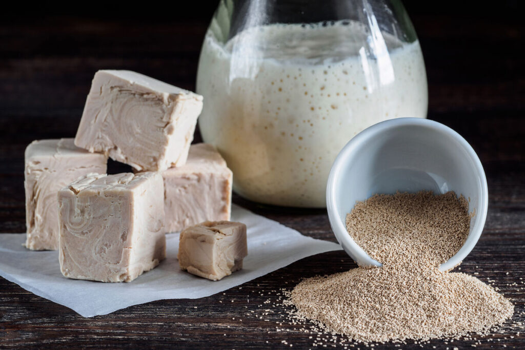 Для чого дріжджі в кормах для собак і котів?