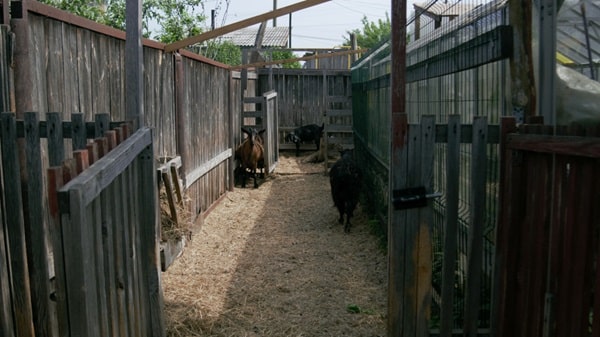 Початок будівництва