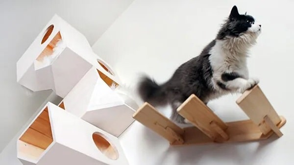 Вертикальна територія