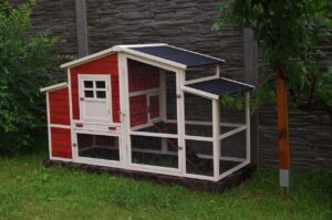 Як побудувати ідеальний курник — рекомендації експертів.
