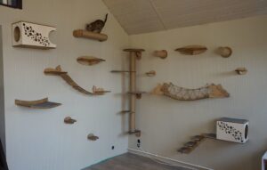 Як вибрати правильний комплекс для котів?