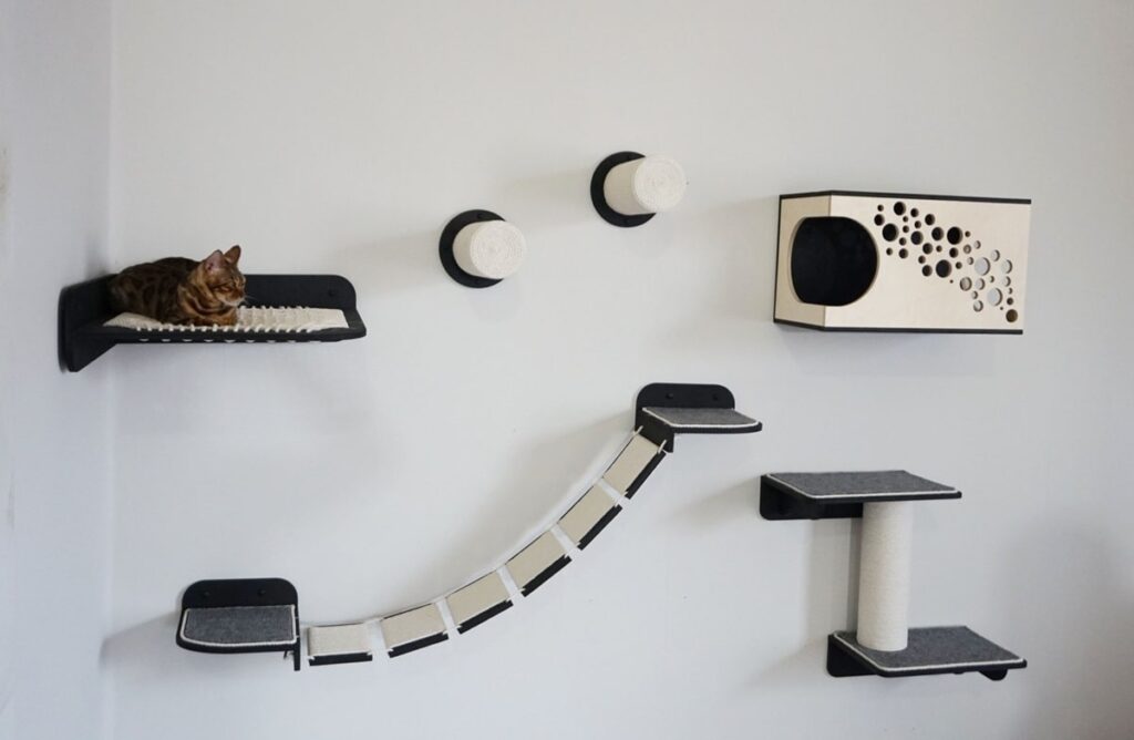 Збагачення навколишнього середовища. 8 причин чому кішки так люблять піднесені місця відпочинку.