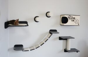 Збагачення навколишнього середовища. 8 причин чому кішки так люблять піднесені місця відпочинку.