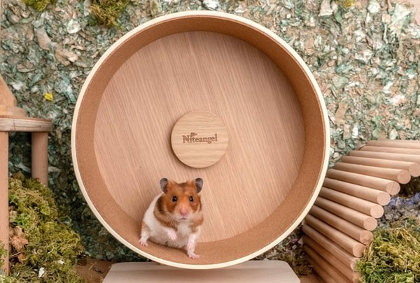 Дерев'яні колеса з підшипником, із суцільною біговою доріжкою з корковим (пробковим) покриттям і суцільною стінкою