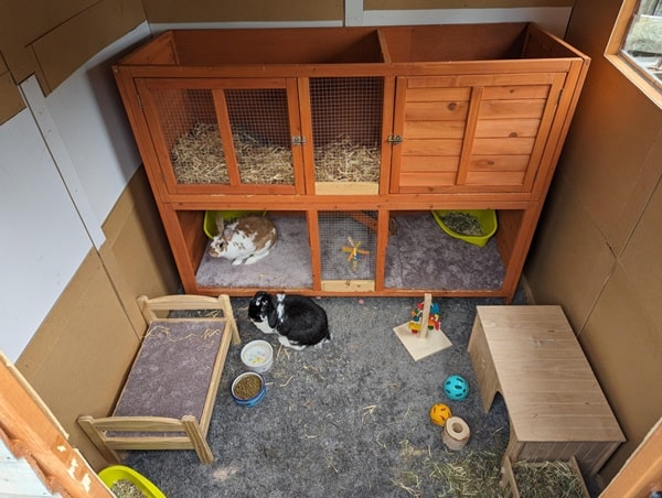 Утримання кроликів у шедах