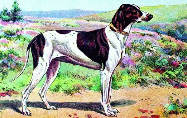 Не вдається створити чітку ідентичність