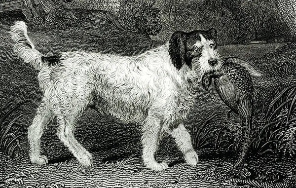 Вони ніколи не існували