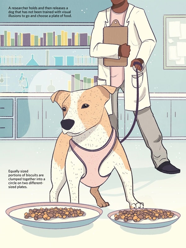 Собачі ілюзії