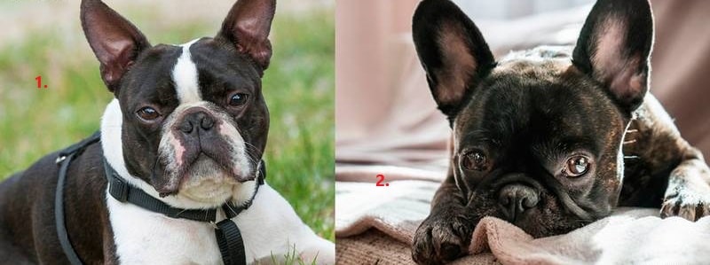 Складки на шкірі