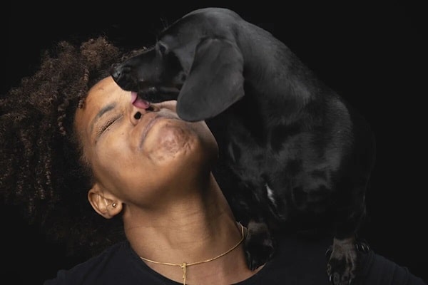 Вилизування