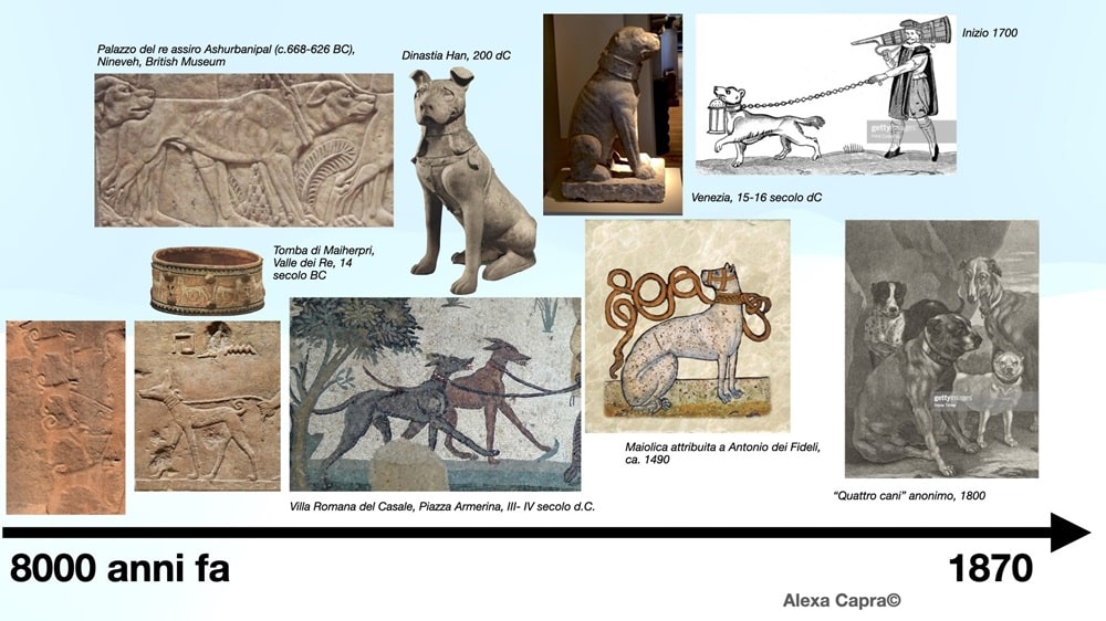 Витоки дресирування собак