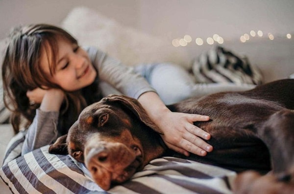 Добермани та діти старшого віку