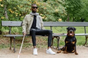 Ротвейлер: злий чи ні?