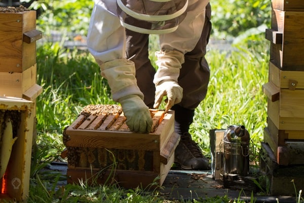 Утеплення та вентиляція