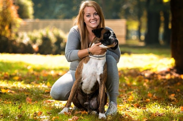 Німецький боксер — дуже відданий собака