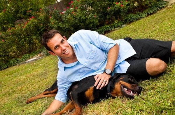 Ротвейлер — одна з найвідданіших порід собак