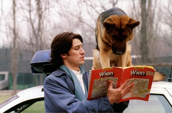 Німецька вівчарка — один із найзнаменитіших кінематографічних собак