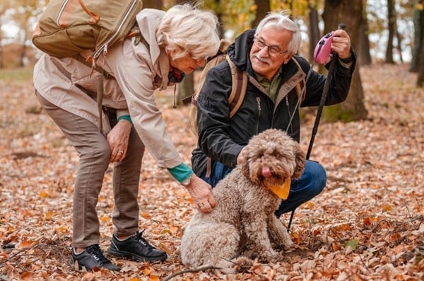 Лаготто-романьйоло