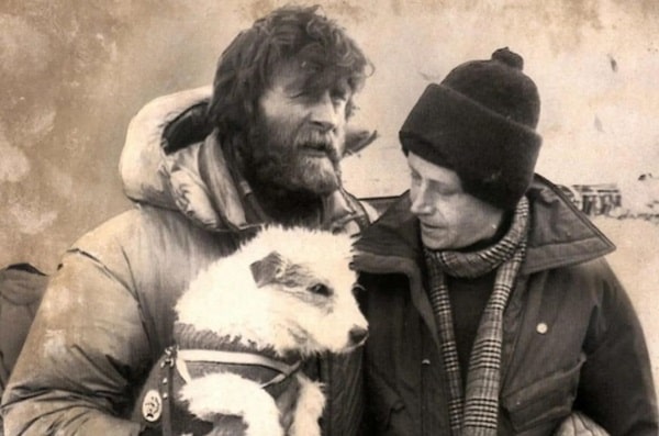 Джек-рассел на прізвисько Баті