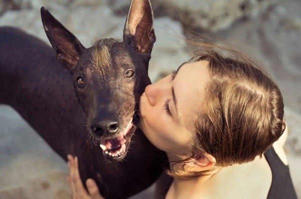 Ксолоїтцкуінтлі