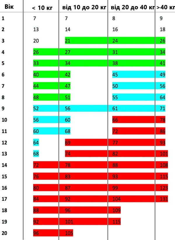 Скільки років собаці за людськими мірками?
