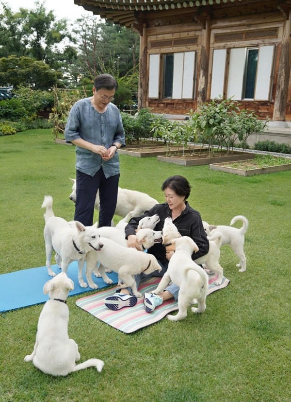 Президент Південної Кореї і північнокорейський лідер обмінялися собаками