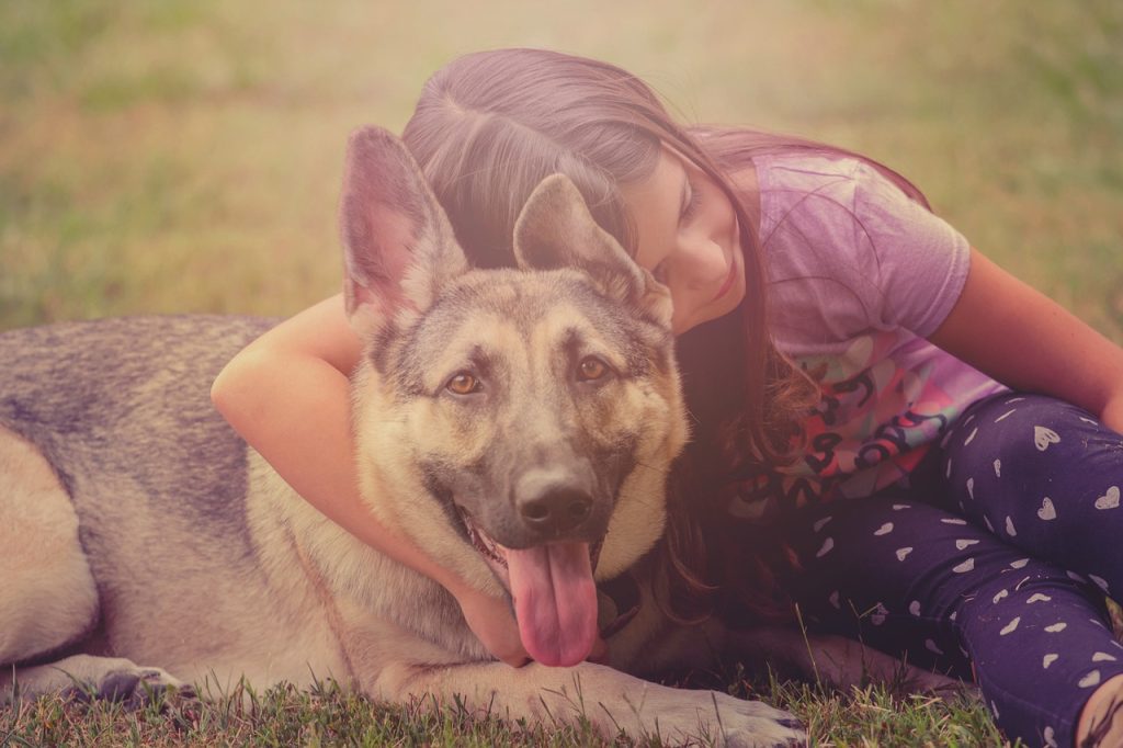 10 Dog Breeds That Bond With One Person.