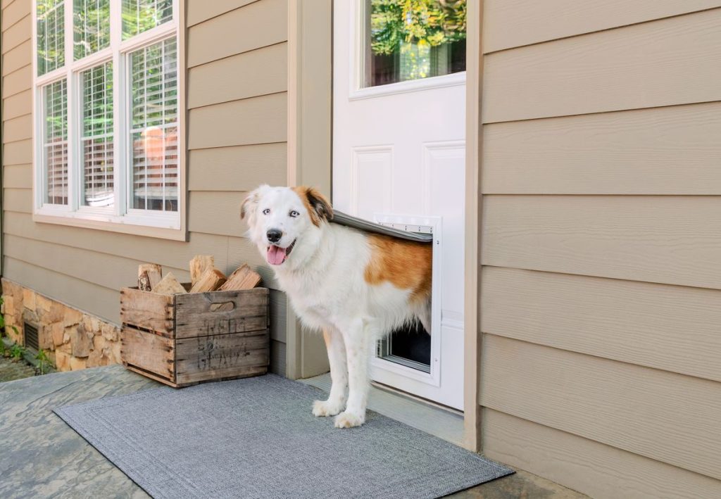 Are Doggie Doors Really A Good Idea?