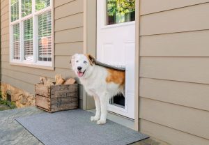 Are Doggie Doors Really A Good Idea?